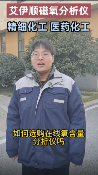 在線微量順磁氧分析儀廠家 在線微量順磁氧分析儀廠家